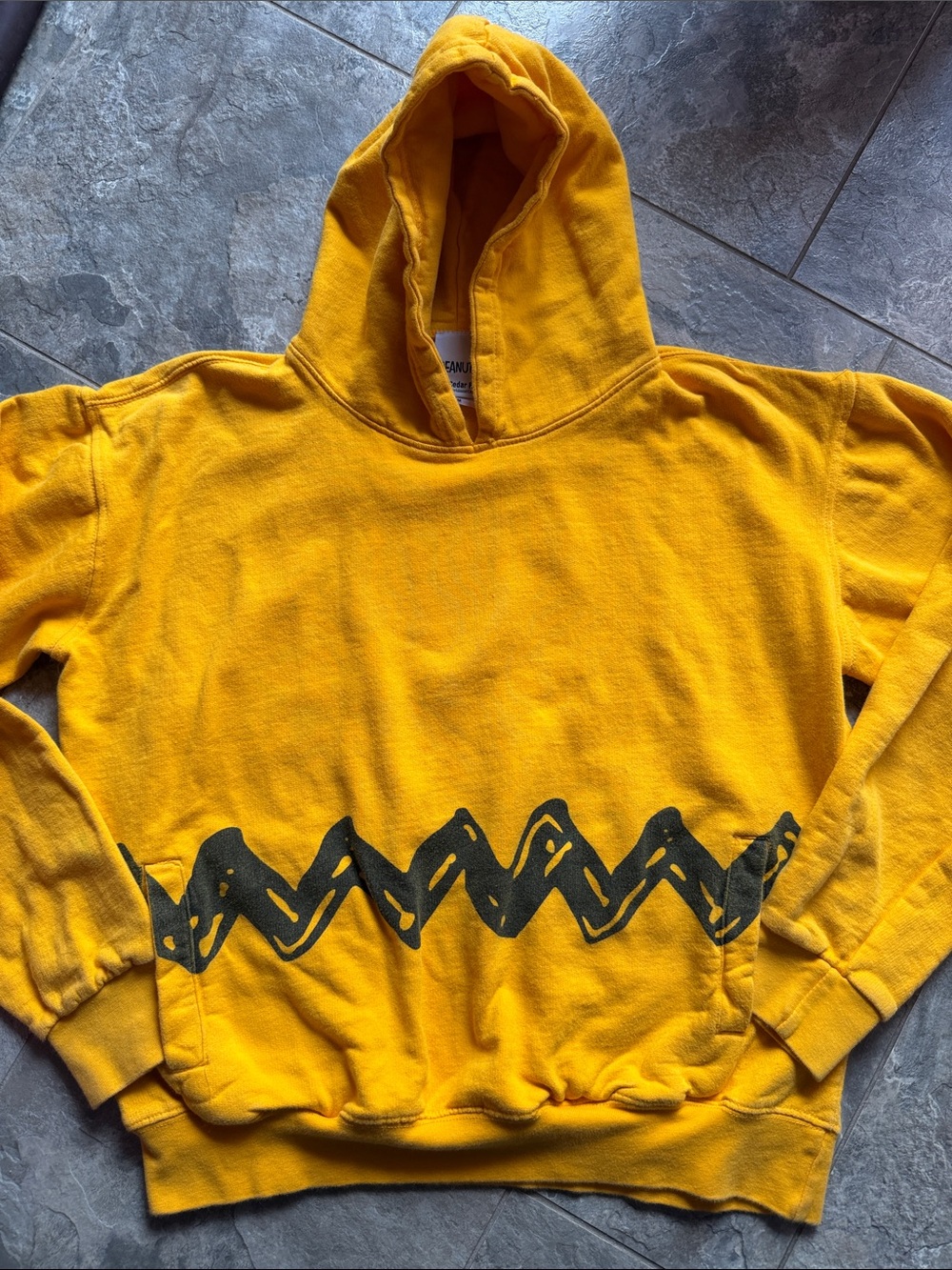 Peanuts Hoodie